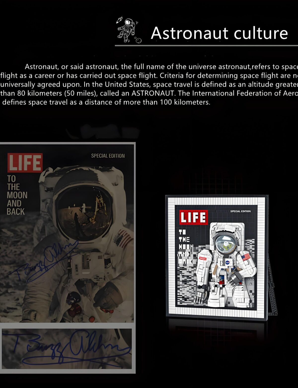 Mork 031005 The Astronaut Photo Frame 2188PCS - Image 5