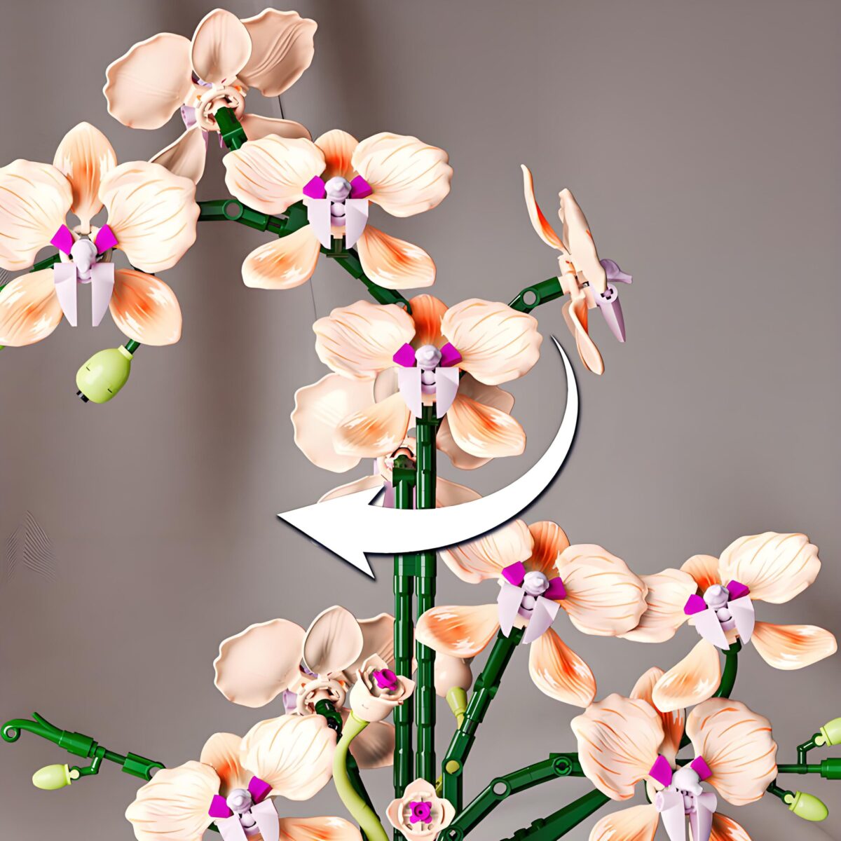 MJ 13111 The Champagne Orchid  866PCS - Image 4
