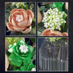 MK 24109 The White Rose  981PCS - Image 5