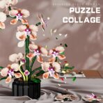 MJ 13111 The Champagne Orchid  866PCS - Image 3