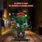 JS66120 The Piranha Plant  838PCS - Image 2