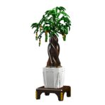 MK10063 The Money Tree  815PCS