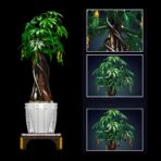 MK10063 The Money Tree  815PCS - Image 5