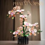 MJ 13111 The Champagne Orchid  866PCS - Image 2